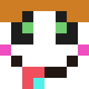 Player skin of apota