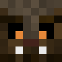 Player skin of TexanRattler