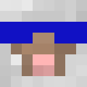 Player skin of _NickVo