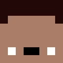 Player skin of P1spidy