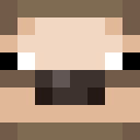 Player skin of Gamersloth30