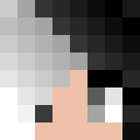 Player skin of XandraCraft