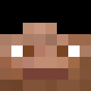 Player skin of zed381