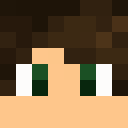 Player skin of alexonstream