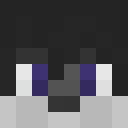 Player skin of bradugar