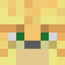 Player skin of baltxe