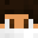 Player skin of Felli199