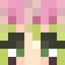 Player skin of NoKiSu2010