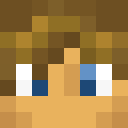 Player skin of Linkinitup