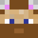 Player skin of chickenchicken5