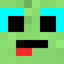 Player skin of weboy