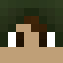 Player skin of Mcflash123