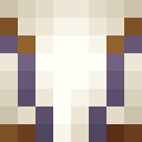 Player skin of FutureTeller
