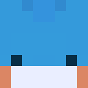 Player skin of MudkipCM