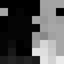 Player skin of Sasa9025i