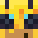 Player skin of SLE2PY