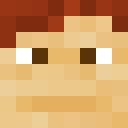 Player skin of TheNoctain