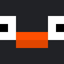 Player skin of booparr