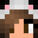 Player skin of RockSolidPanda