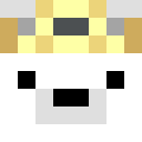 Player skin of dady100