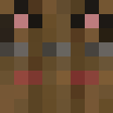 Player skin of SpruceDoorGuy