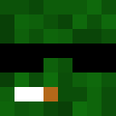 Player skin of SirPickleGull