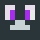 Player skin of MrFroshie