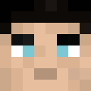 Player skin of LordFollower