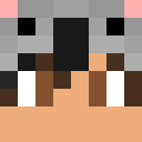 Player skin of Thebossofmi