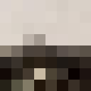 Player skin of ludiludiludi