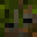 Player skin of Whimsir