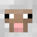 Player skin of 4zz