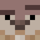 Player skin of nru_chiui