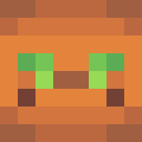 Player skin of seghe
