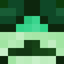 Player skin of IDKHayde