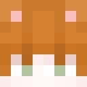 Player skin of BardBourne