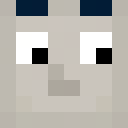 Player skin of jerome3009