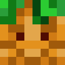 Player skin of Argus223