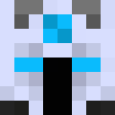 Player skin of pmbtexas