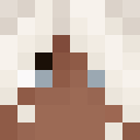 Player skin of radiocar