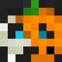 Player skin of kdlz