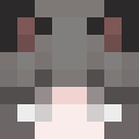 Player skin of ChedderCheese458
