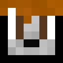 Player skin of Wearing_Robin