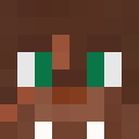 Player skin of Tripleat