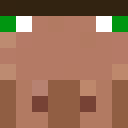 Player skin of StormHighh