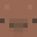 Player skin of RadoslawGuzior