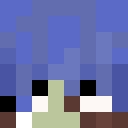 Player skin of willowdusk_