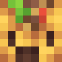 Player skin of T4C05_