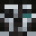 Player skin of Petr5069