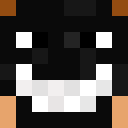 Player skin of monstertsmer2711